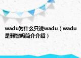 wadu为什么只说wadu（wadu是弱智吗简介介绍）