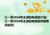 江一燕2016年主演的电视剧介绍(江一燕2016年主演的电视剧详细情况如何)