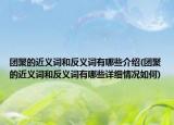 团聚的近义词和反义词有哪些介绍(团聚的近义词和反义词有哪些详细情况如何)