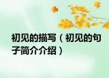初见的描写（初见的句子简介介绍）
