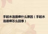 手起水泡很痒什么原因（手起水泡很痒怎么回事）