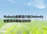Nobody的歌词介绍(Nobody的歌词详细情况如何)