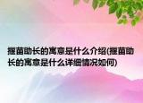 揠苗助长的寓意是什么介绍(揠苗助长的寓意是什么详细情况如何)