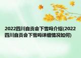 2022四川自贡会下雪吗介绍(2022四川自贡会下雪吗详细情况如何)