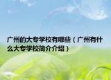 广州的大专学校有哪些（广州有什么大专学校简介介绍）