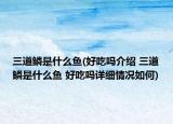 三道鳞是什么鱼(好吃吗介绍 三道鳞是什么鱼 好吃吗详细情况如何)
