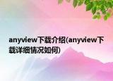 anyview下载介绍(anyview下载详细情况如何)