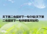 天下第二也挺好下一句介绍(天下第二也挺好下一句详细情况如何)