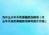 为什么大牛不吃草脑筋急转弯（什么牛不会吃草脑筋急转弯简介介绍）