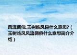 风流倜傥,玉树临风是什么意思?（玉树临风风流倜傥什么意思简介介绍）