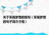 关于实现梦想的短句（实现梦想的句子简介介绍）