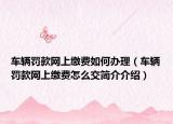 车辆罚款网上缴费如何办理（车辆罚款网上缴费怎么交简介介绍）
