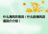 什么海风形容词（什么的海风词语简介介绍）