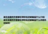湖北省随州市曾都区柳林街道邮编是什么介绍(湖北省随州市曾都区柳林街道邮编是什么详细情况如何)
