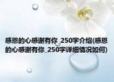 感恩的心感谢有你_250字介绍(感恩的心感谢有你_250字详细情况如何)
