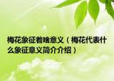 梅花象征着啥意义（梅花代表什么象征意义简介介绍）