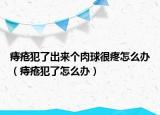 痔疮犯了出来个肉球很疼怎么办（痔疮犯了怎么办）