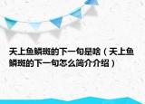 天上鱼鳞斑的下一句是啥（天上鱼鳞斑的下一句怎么简介介绍）