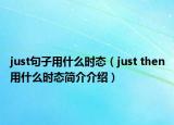 just句子用什么时态（just then用什么时态简介介绍）