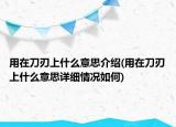 用在刀刃上什么意思介绍(用在刀刃上什么意思详细情况如何)