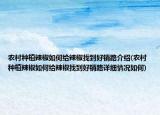农村种植辣椒如何给辣椒找到好销路介绍(农村种植辣椒如何给辣椒找到好销路详细情况如何)