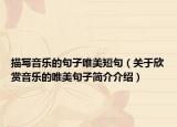 描写音乐的句子唯美短句（关于欣赏音乐的唯美句子简介介绍）