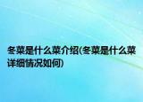 冬菜是什么菜介绍(冬菜是什么菜详细情况如何)