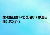 尿液蛋白质1+怎么治疗（尿蛋白质1 怎么办）