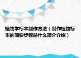 植物学标本制作方法（制作植物标本的简要步骤是什么简介介绍）