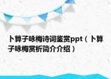 卜算子咏梅诗词鉴赏ppt（卜算子咏梅赏析简介介绍）