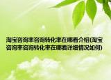 淘宝咨询率咨询转化率在哪看介绍(淘宝咨询率咨询转化率在哪看详细情况如何)