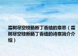 霜树尽空枝肠断丁香结的意思（霜树尽空枝断肠丁香结的诗意简介介绍）