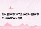 郑大附中怎么样介绍(郑大附中怎么样详细情况如何)