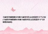 斗破苍穹辅助脚本攻略斗破苍穹怎么挂机提升斗气介绍(斗破苍穹辅助脚本攻略斗破苍穹怎么挂机提升斗气详细情况如何)