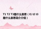 T1 T2 T3是什么意思（t1 t2 t3是什么意思简介介绍）