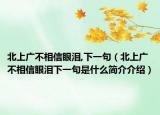 北上广不相信眼泪,下一句（北上广不相信眼泪下一句是什么简介介绍）