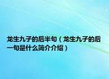 龙生九子的后半句（龙生九子的后一句是什么简介介绍）