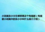 小别离张小宇在哪里看这个电视剧（电视剧小别离中的张小宇叫什么简介介绍）