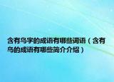 含有鸟字的成语有哪些词语（含有鸟的成语有哪些简介介绍）
