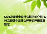 t201次硬卧中是什么样子的介绍(t201次硬卧中是什么样子的详细情况如何)