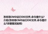 怎样用CMD运行EXE文件,命令是什么?介绍(怎样用CMD运行EXE文件,命令是什么?详细情况如何)