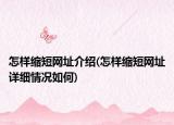 怎样缩短网址介绍(怎样缩短网址详细情况如何)