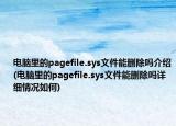 电脑里的pagefile.sys文件能删除吗介绍(电脑里的pagefile.sys文件能删除吗详细情况如何)