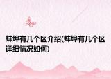 蚌埠有几个区介绍(蚌埠有几个区详细情况如何)