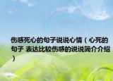 伤感死心的句子说说心情（心死的句子 表达比较伤感的说说简介介绍）