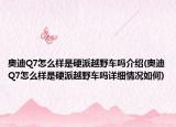 奥迪Q7怎么样是硬派越野车吗介绍(奥迪Q7怎么样是硬派越野车吗详细情况如何)