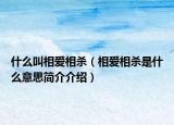 什么叫相爱相杀（相爱相杀是什么意思简介介绍）