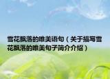 雪花飘落的唯美语句（关于描写雪花飘落的唯美句子简介介绍）