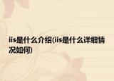 iis是什么介绍(iis是什么详细情况如何)