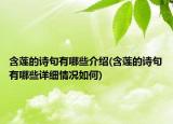 含莲的诗句有哪些介绍(含莲的诗句有哪些详细情况如何)